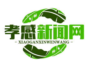  *** 中原突围指挥部旧址惊现电报密码本原稿，揭秘历史密码背后的传奇故事